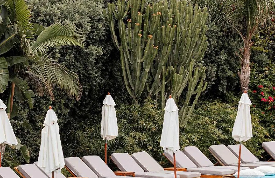Veer Luxury Boutique Hotel & Beach Club-1